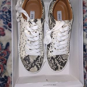 Steve madden snake skin sneakers